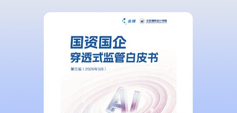国资国企穿透式监管白皮书